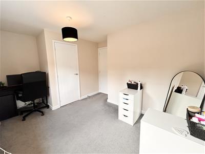 Picture 13